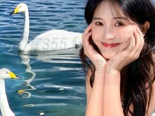 在355.fun上划动，全新ios体验，连吃瓜都有了奇妙感