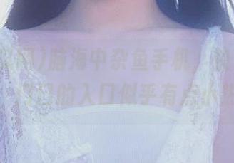 脑海中杂鱼手机，快下载51吃瓜网，门口的入口似乎有点小热闹呢！