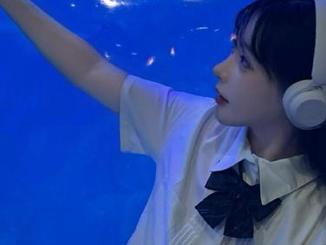 吃瓜tv里，永不迷路的瓜田小路，让我再次深陷无尽花海中！