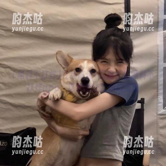 黑料不打烊 在线高清+万里长征黑料不打烊app,这组合让我彻底沉迷