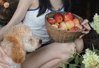 黑料网站极限挑战线路，勇士们上，请带好瓜！