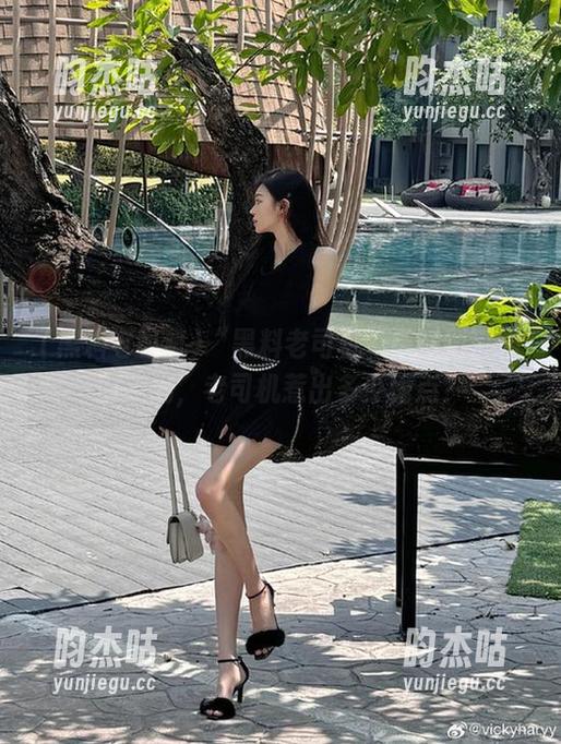 “黑料老司机”链接到真相的旋涡，老司机惹出多少槽点？